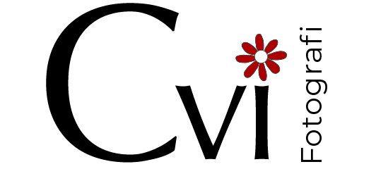 CviFotografi